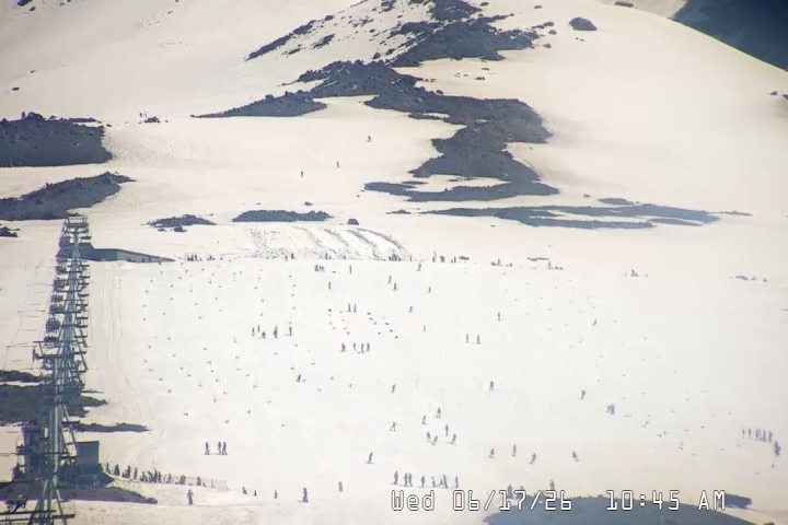 Live Feed: Palmer/Silcox Camera