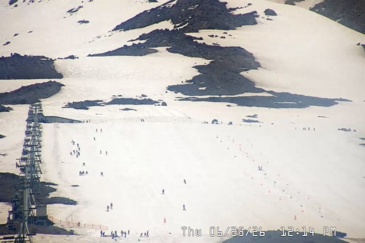 Live Feed: Palmer/Silcox Camera