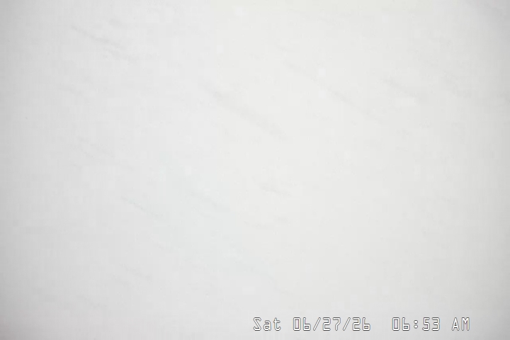Live Feed: Palmer/Silcox Camera