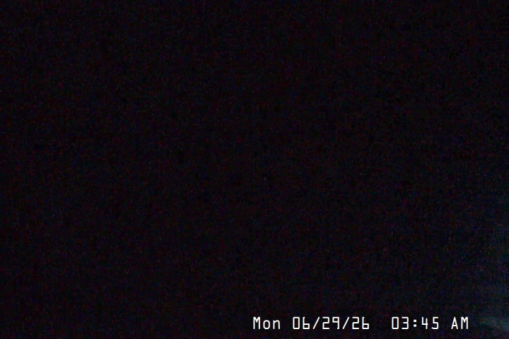 Live Feed: Palmer/Silcox Camera