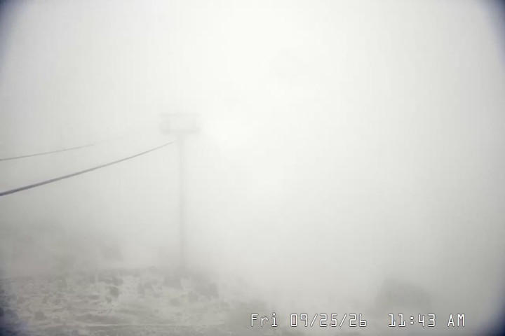 Live Feed: Palmer/Silcox Camera
