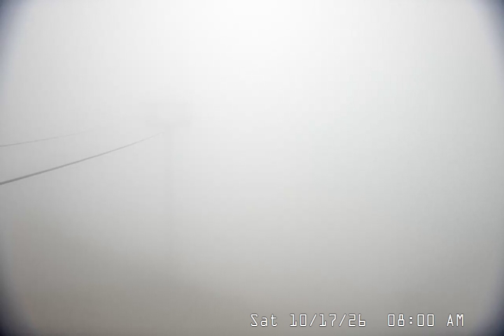 Live Feed: Palmer/Silcox Camera