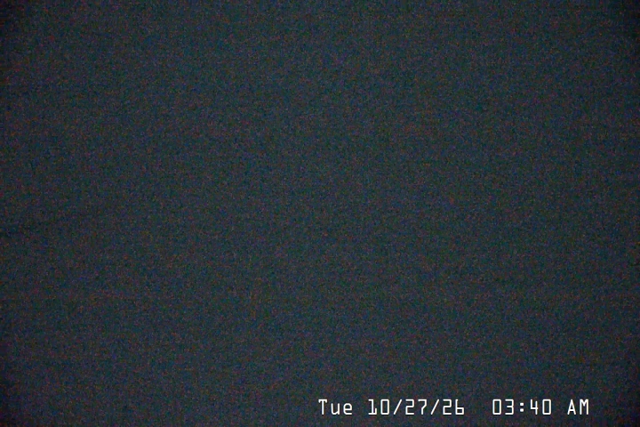 Live Feed: Palmer/Silcox Camera