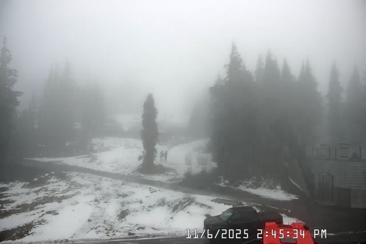 Live Feed: Pucci Camera