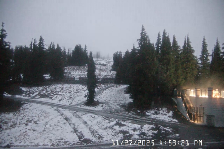 Live Feed: Pucci Camera