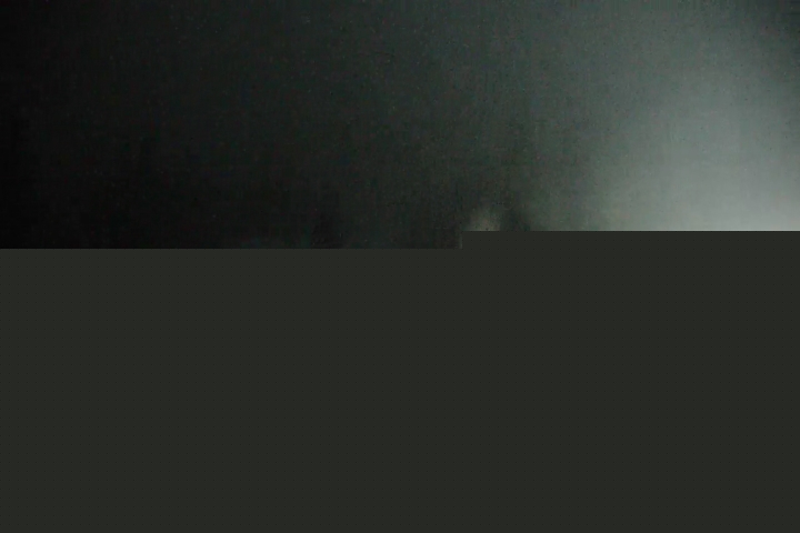 Live Feed: Pucci Camera