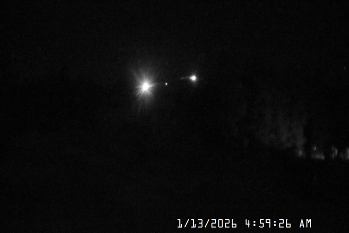 Live Feed: Pucci Camera