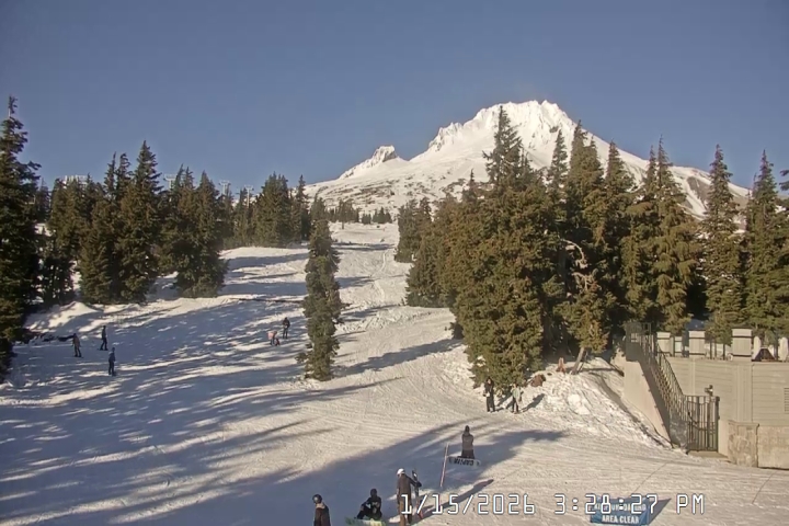 Live Feed: Pucci Camera