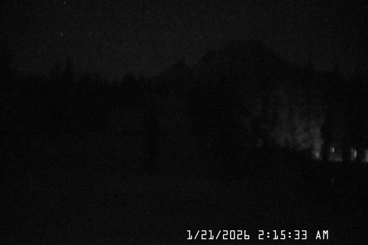 Live Feed: Pucci Camera