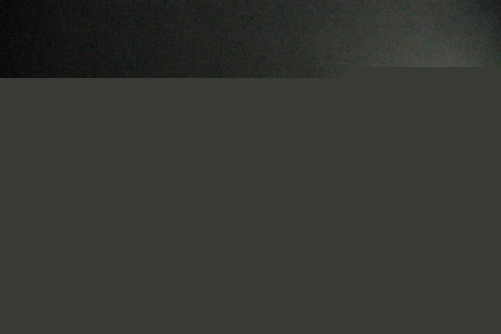 Live Feed: Pucci Camera