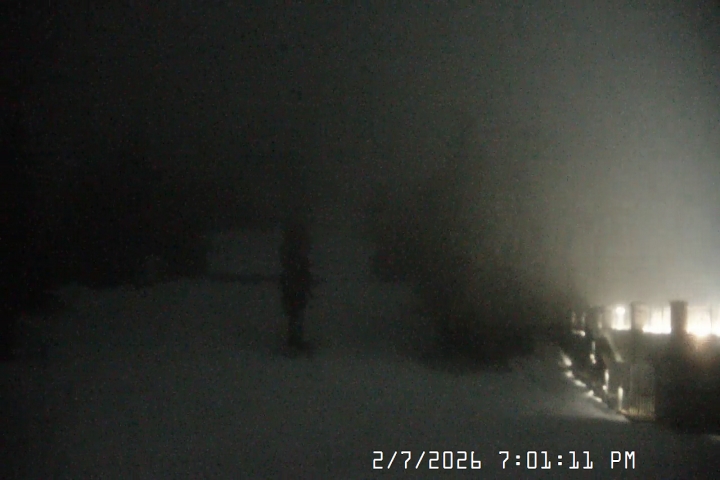 Live Feed: Pucci Camera