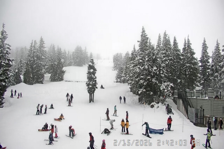 Live Feed: Pucci Camera