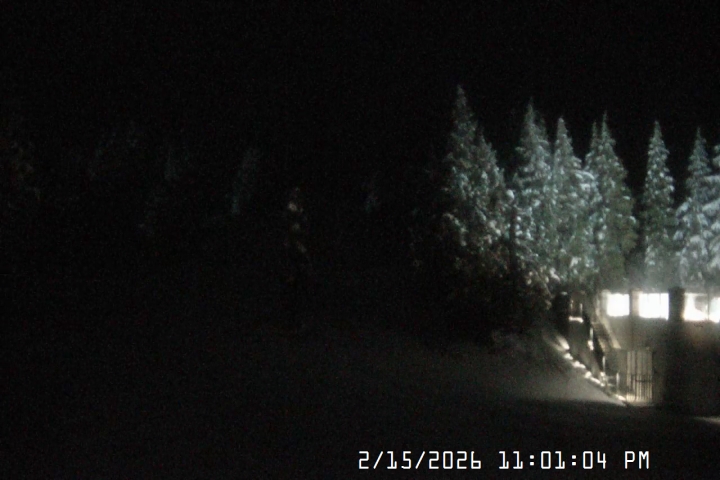 Live Feed: Pucci Camera