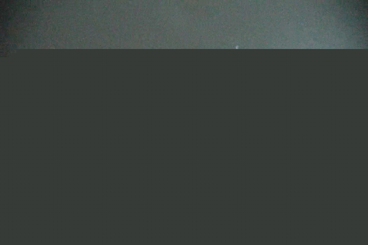 Live Feed: Pucci Camera