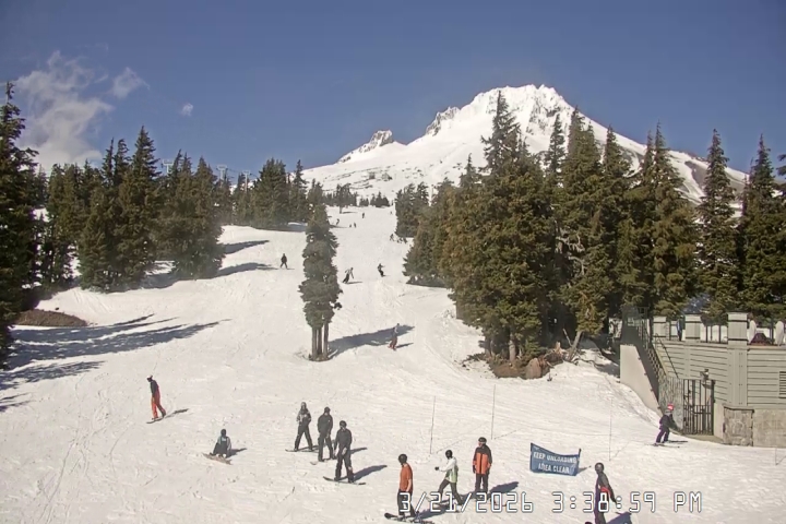 Live Feed: Pucci Camera