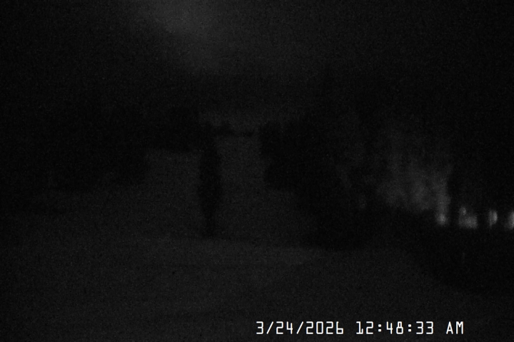 Live Feed: Pucci Camera