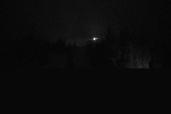 Live Feed: Pucci Camera