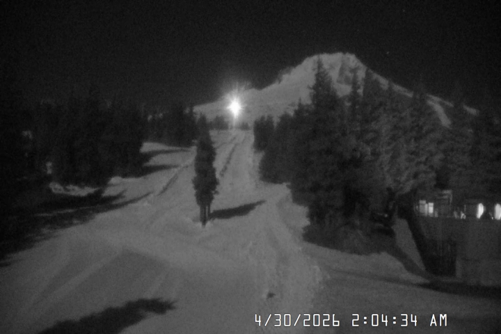 Live Feed: Pucci Camera