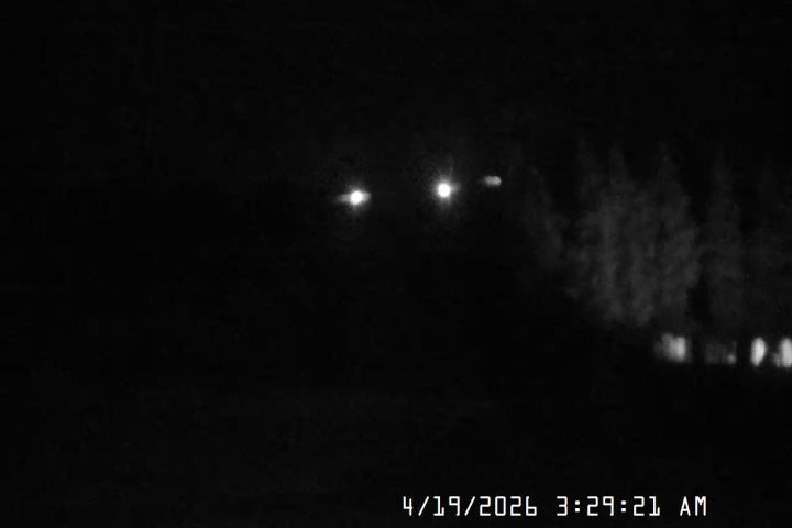 Live Feed: Pucci Camera