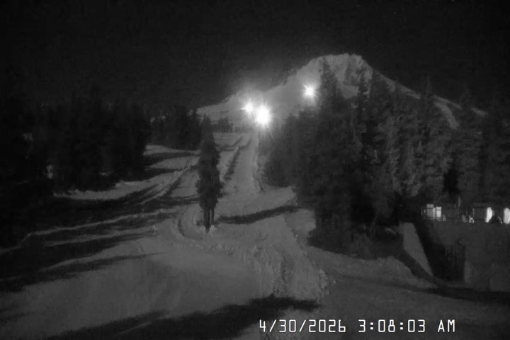 Live Feed: Pucci Camera