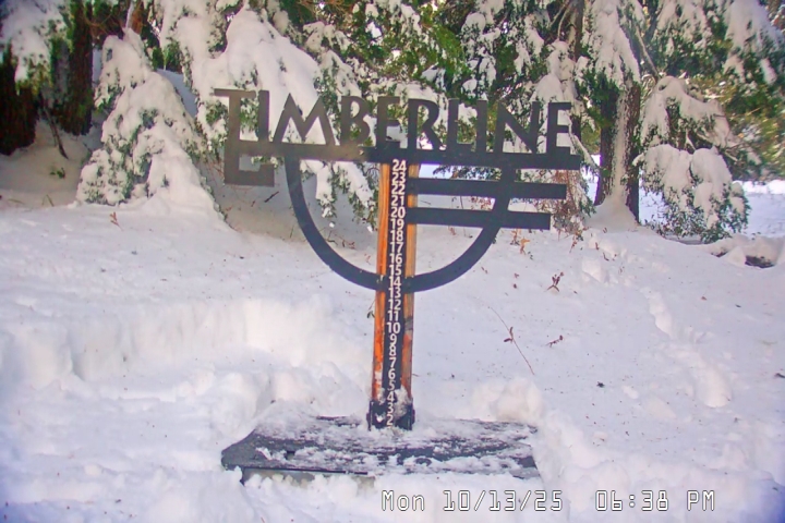 Live Feed: Snow Stake