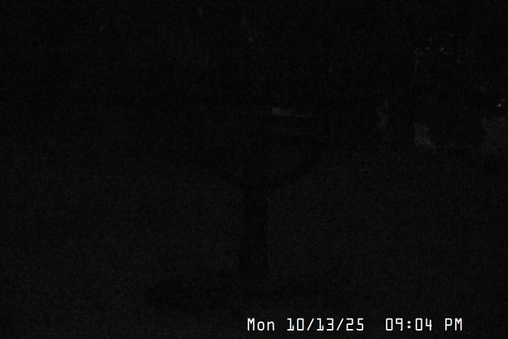 Live Feed: Snow Stake