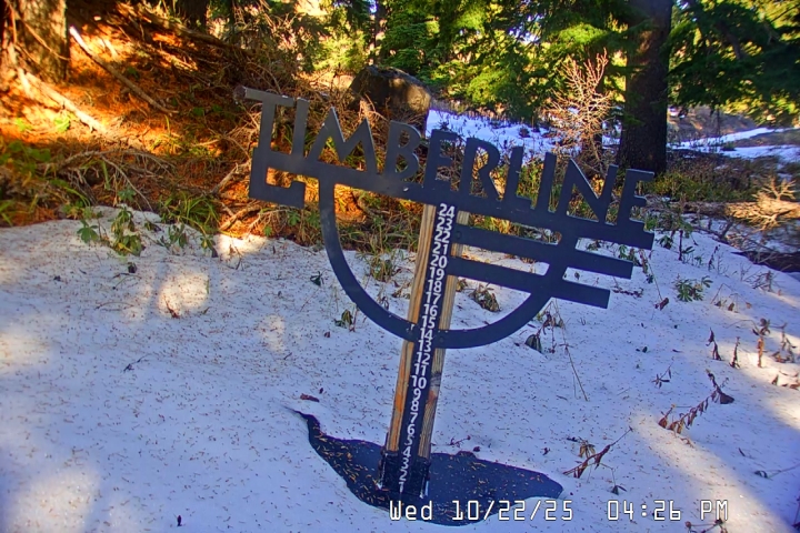 Live Feed: Snow Stake
