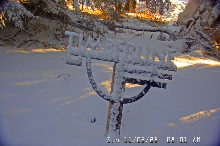 Live Feed: Snow Stake