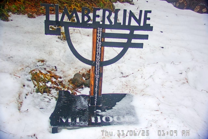 Live Feed: Snow Stake