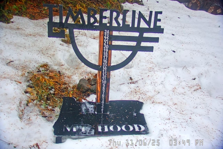 Live Feed: Snow Stake