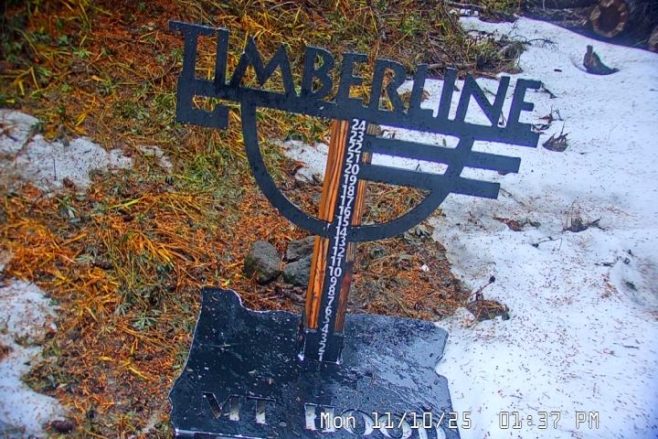 Live Feed: Snow Stake