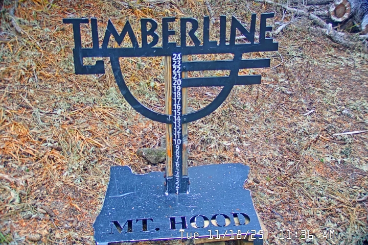 Live Feed: Snow Stake