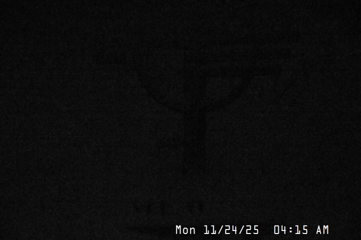 Live Feed: Snow Stake