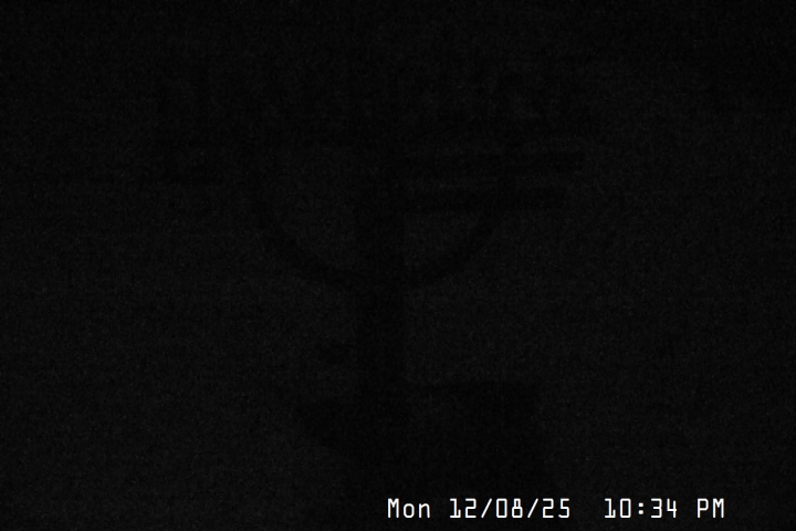 Live Feed: Snow Stake