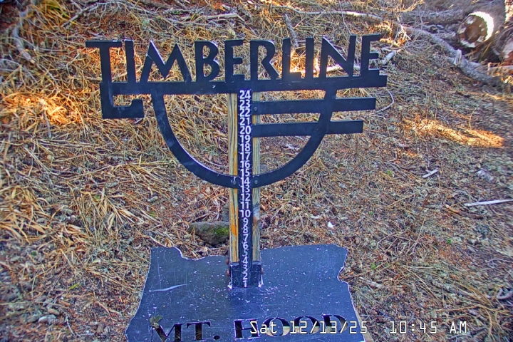 Live Feed: Snow Stake