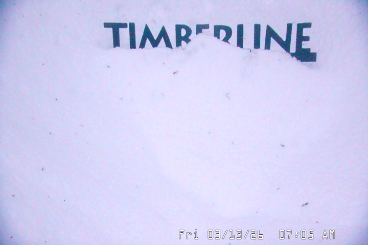 Live Feed: Snow Stake