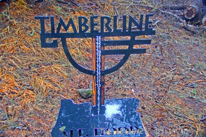 Live Feed: Snow Stake