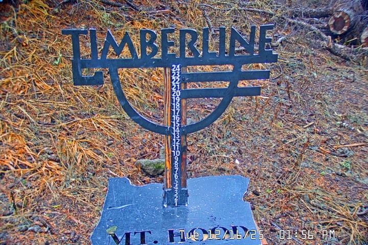 Live Feed: Snow Stake