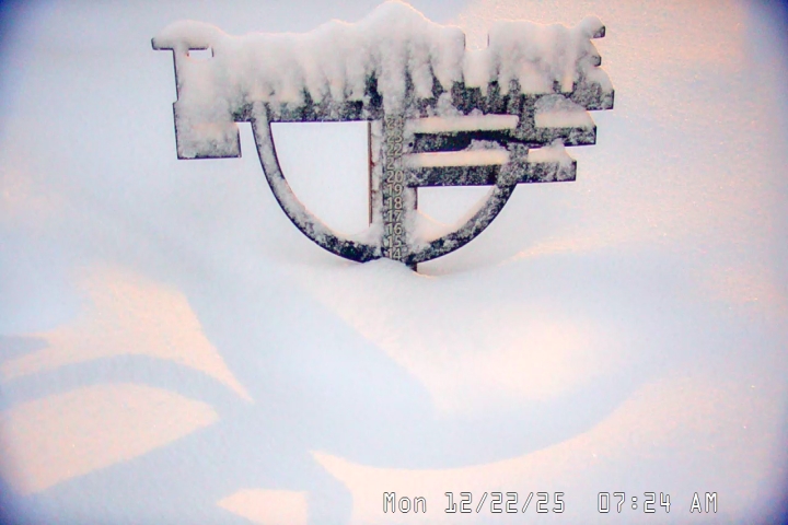 Live Feed: Snow Stake