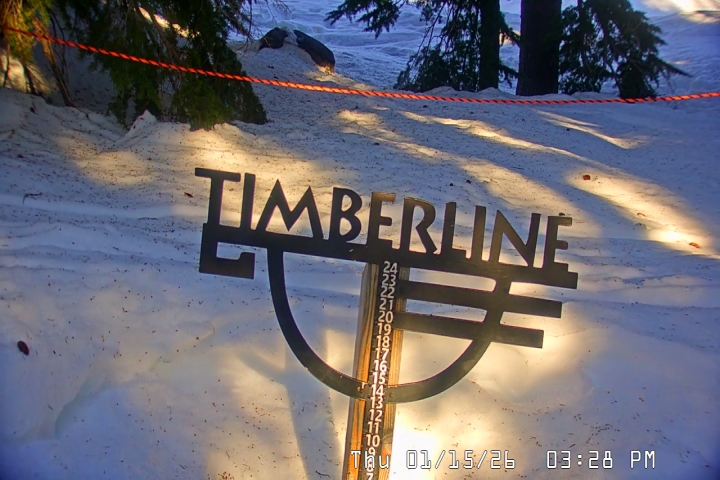 Live Feed: Snow Stake