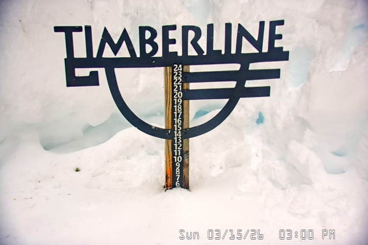 Live Feed: Snow Stake