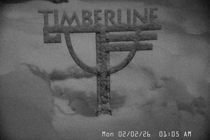 Live Feed: Snow Stake