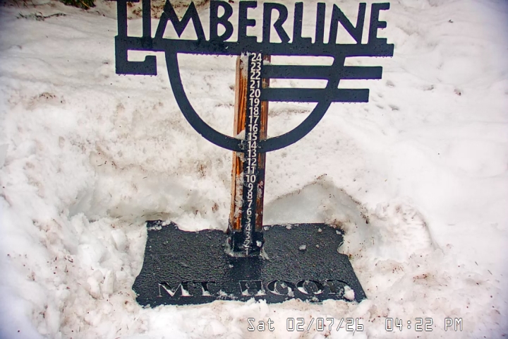 Live Feed: Snow Stake