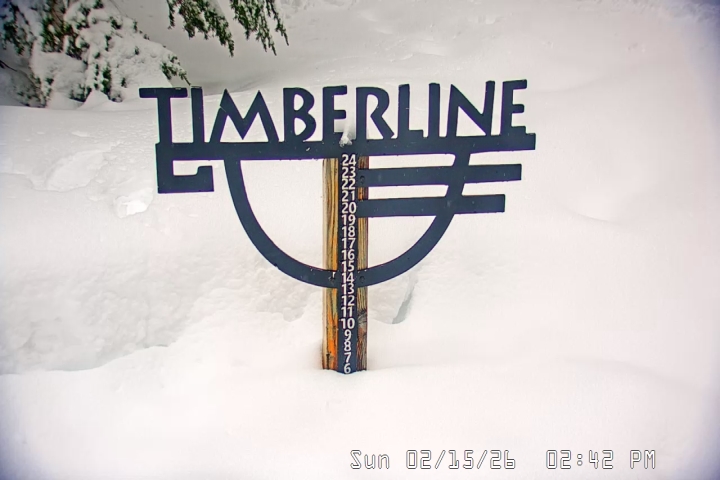 Live Feed: Snow Stake