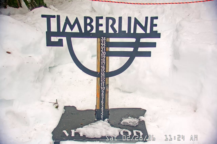 Live Feed: Snow Stake