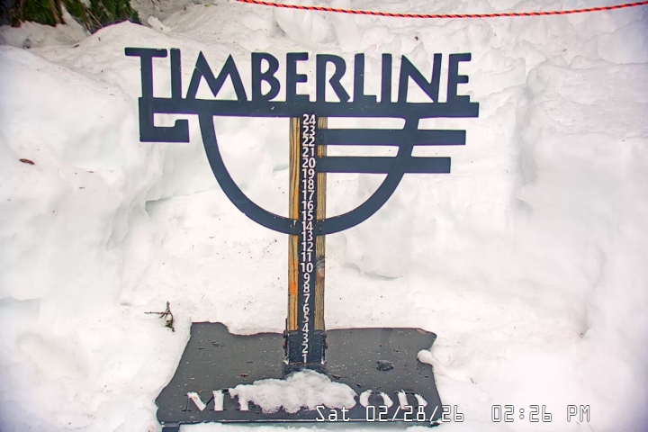 Live Feed: Snow Stake