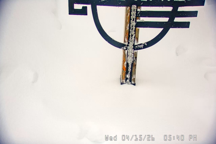 Live Feed: Snow Stake