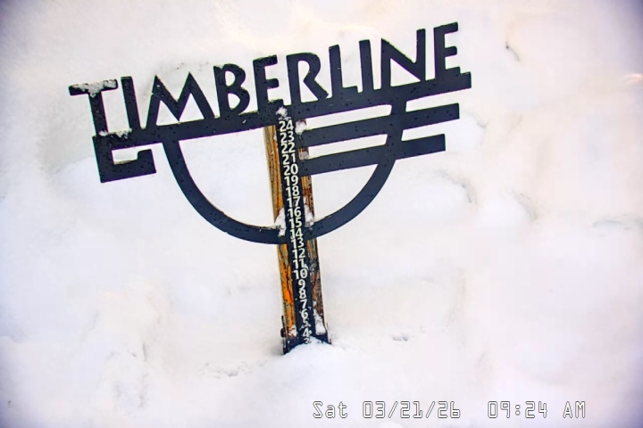 Live Feed: Snow Stake