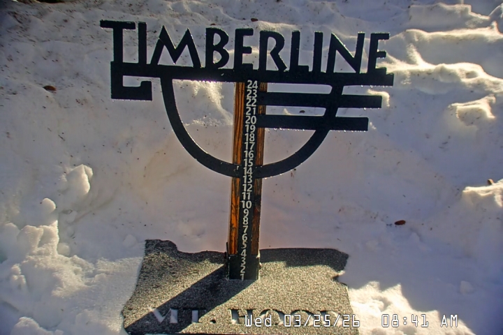 Live Feed: Snow Stake