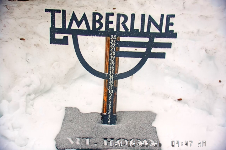 Live Feed: Snow Stake
